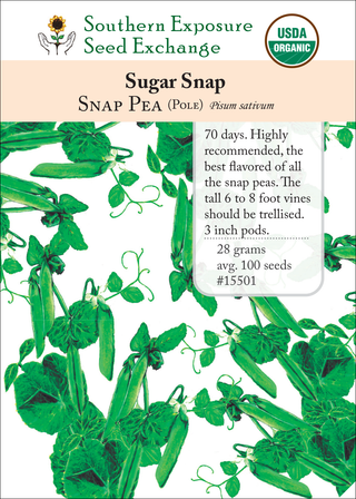 15501 Sugar Snap