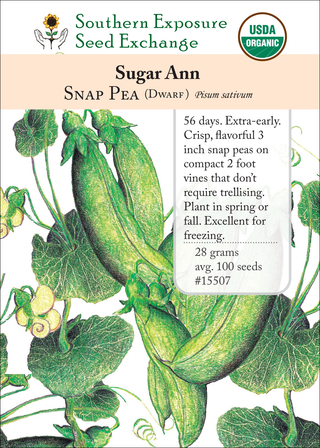 15507 Sugar Ann