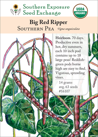 16107 Big Red Ripper