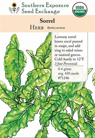 71246 - Sorrel, Garden