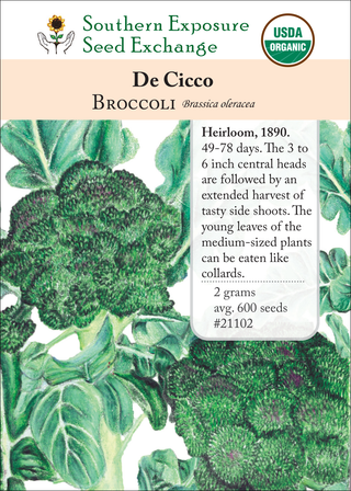 21102 De Cicco
