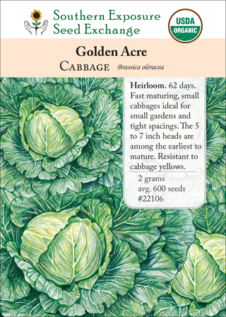 22106 Golden Acre