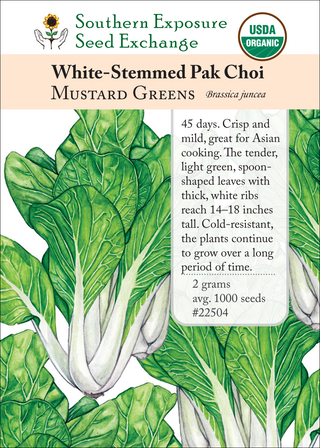 22504 White-Stemmed Pak Choi