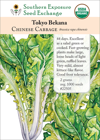 22505 Tokyo Bekana