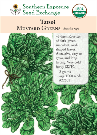22601 Tatsoi