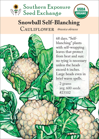 23102 Snowball Self-Blanching