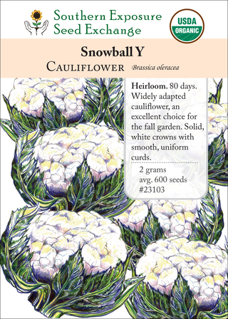 23103 Snowball Y