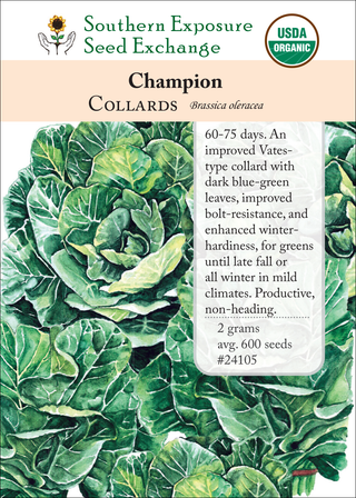 24105 Champion