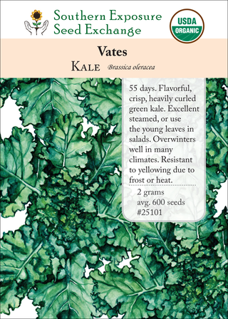 25101 Vates