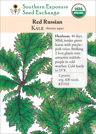 25102 Red Russian