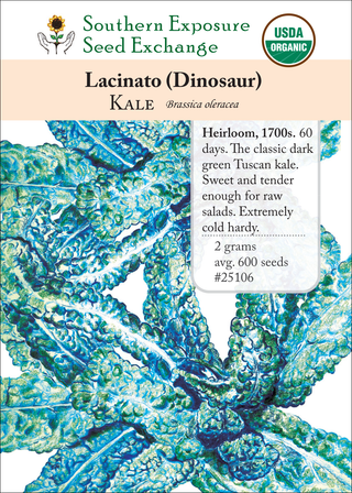 25106 Lacinato