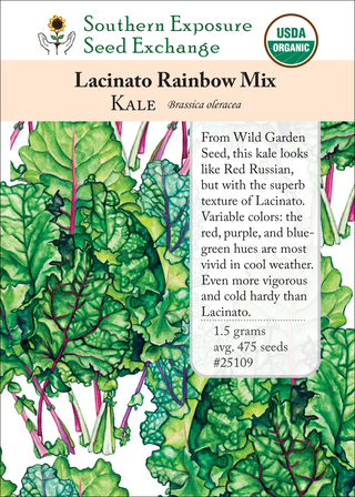 25109 Lacinato Rainbow Mix
