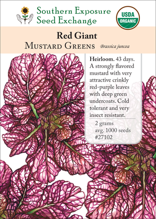 27102 Red Giant
