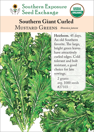 27103 Southern Giant