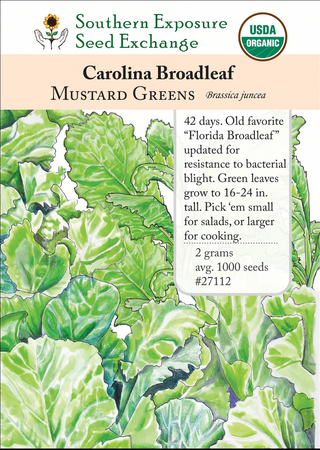 27112 - Carolina Broadleaf