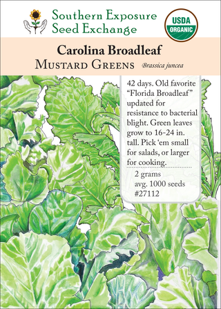 27112 Carolina Broadleaf