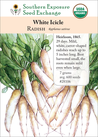 28106 White Icicle
