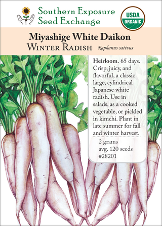 28201 miyashige white daikon