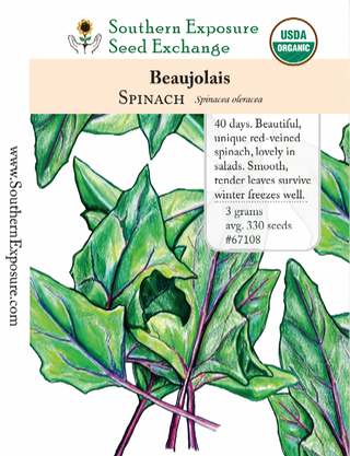 67108 - Beaujolais