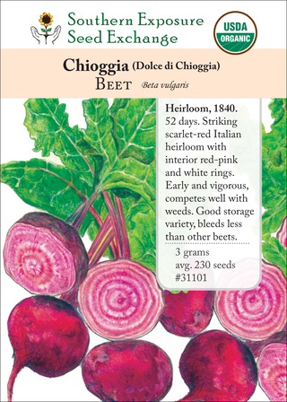 31101 - Chioggia (Dolce Di Chioggia)