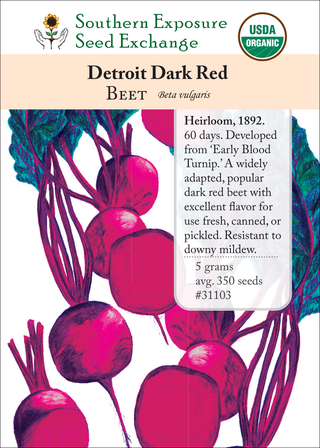 31103 - Detroit Dark Red