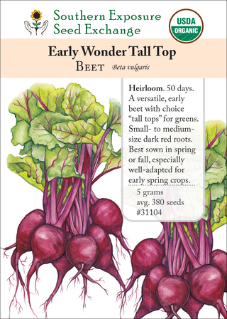 31104 - Early Wonder Tall Top