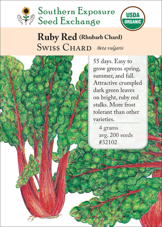 32102 - Ruby Red (Rhubarb Chard)