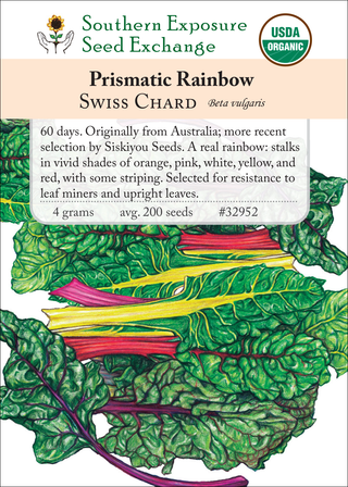 32952 - Prismatic Rainbow Chard