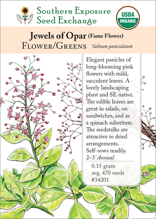 34201 - Jewels of Opar (Fame Flower)