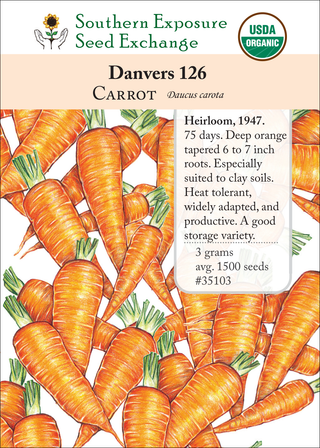 35103 - Danvers 126
