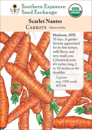 35106 - Scarlet Nantes