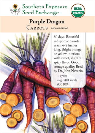 35109 - Purple Dragon
