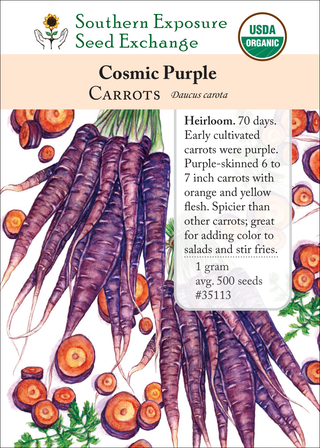 35113 - Cosmic Purple