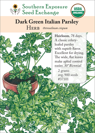 37101 - Dark Green Italian (Plain Leaf)