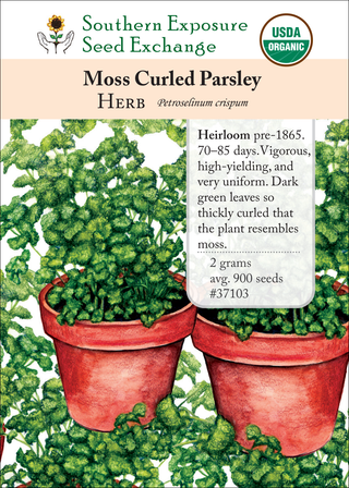 37103 - Moss Curled