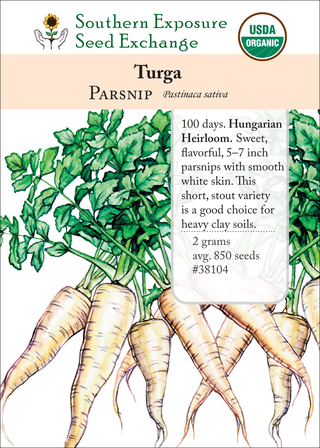 38104 - Turga