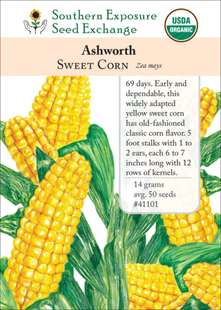 41101 - Ashworth