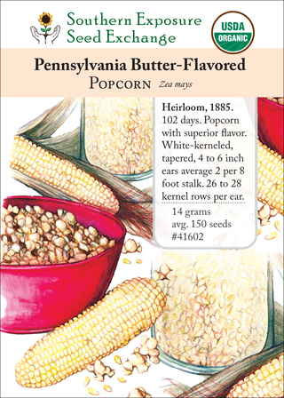 41602 - Pennsylvania Butter-Flavored