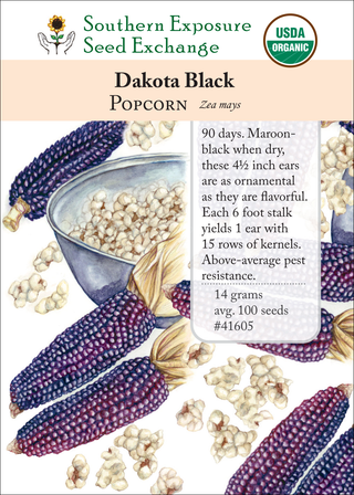 41605 Dakota Black