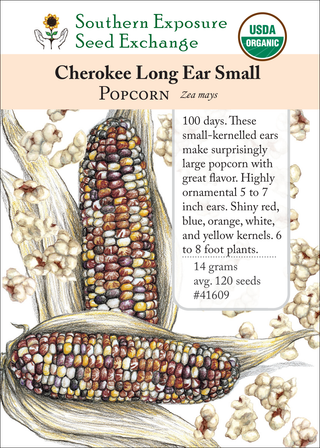 41609 Cherokee Long Ear Small