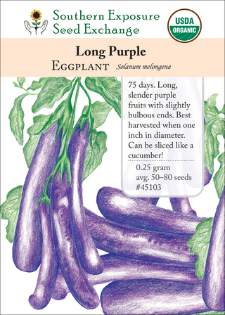 45103 Long Purple
