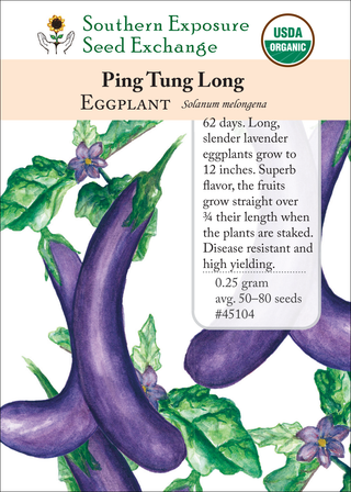 45104 Ping Tung Long