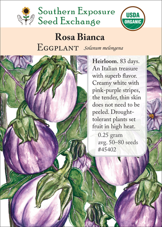 45402 Rosa Bianca