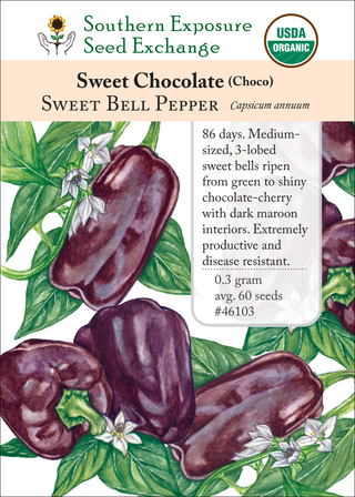 46103 Sweet Chocolate