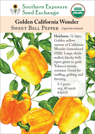 46105 Golden California Wonder