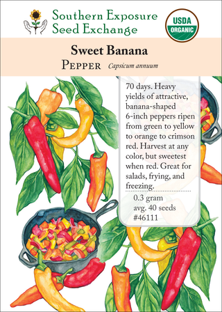46111 Sweet Banana