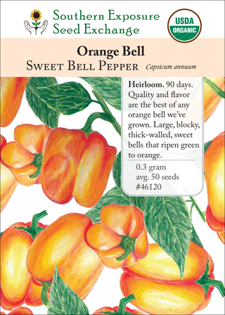 46120 Orange Bell