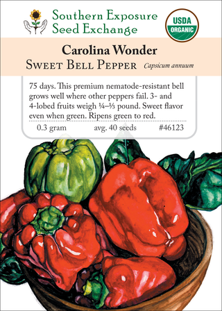 46123 Carolina Wonder