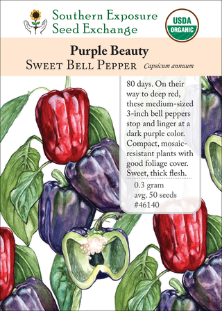 46140 Purple Beauty
