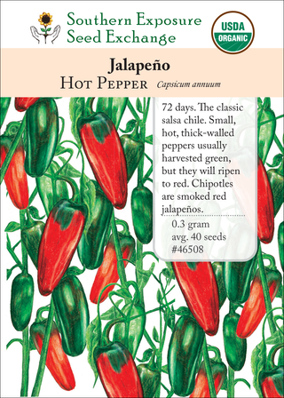 46508 Jalapeno